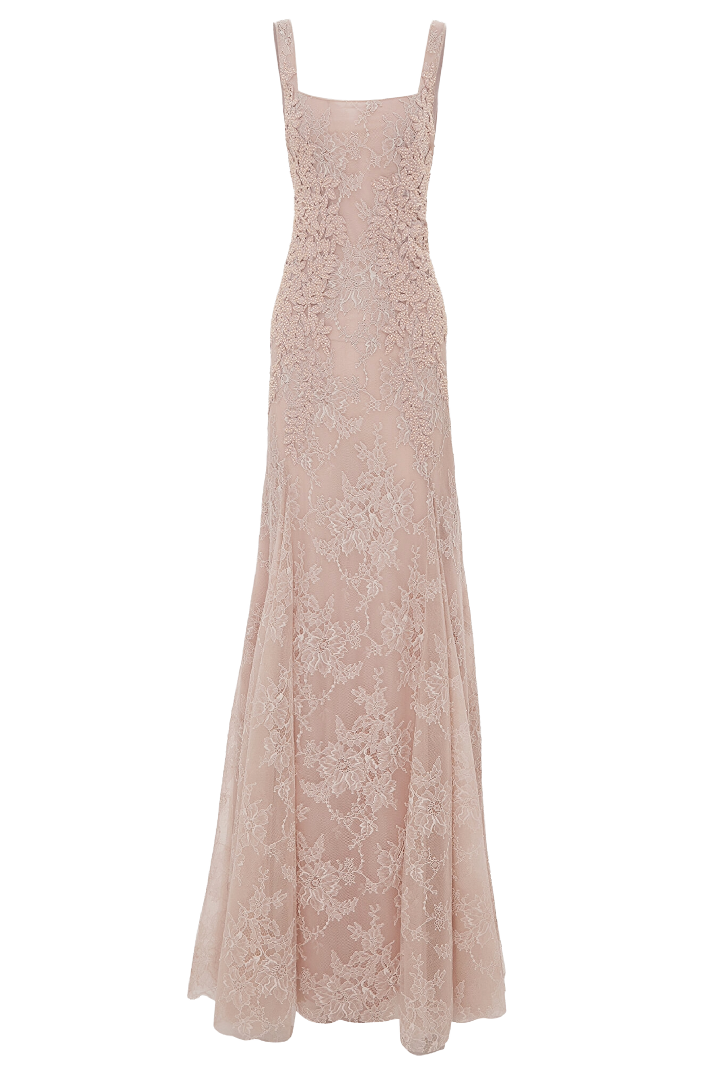 Elysia Lace Embellished Gown