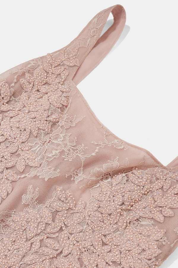 Elysia Lace Embellished Gown