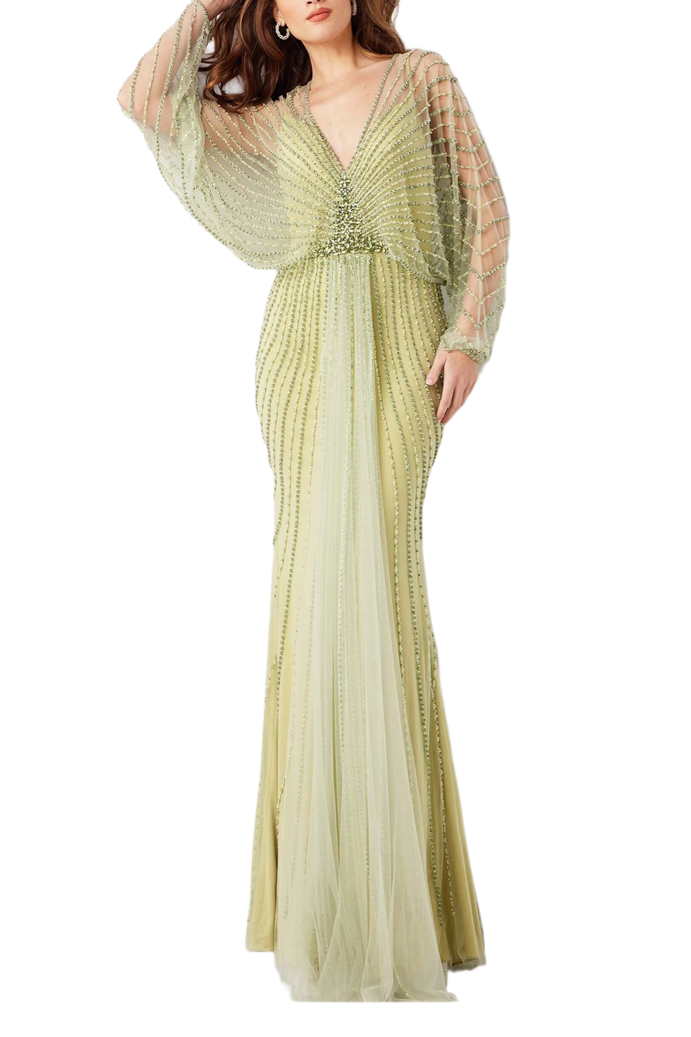 Beaded Long Sleeve Evening Dress