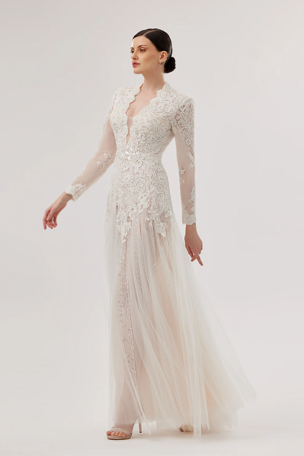 Deep V-Neck Lace & Tulle Gown