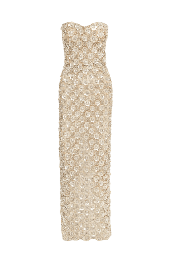 Mother of Pearl Embroidered Column Gown