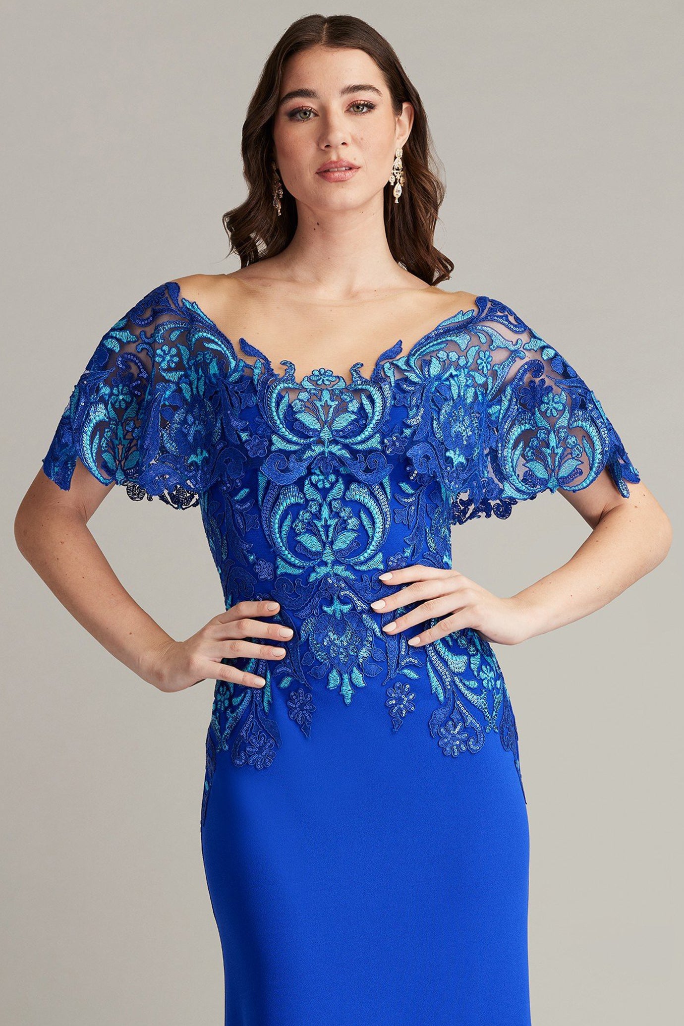 Deming Ruffled Sleeve Illusion Gown